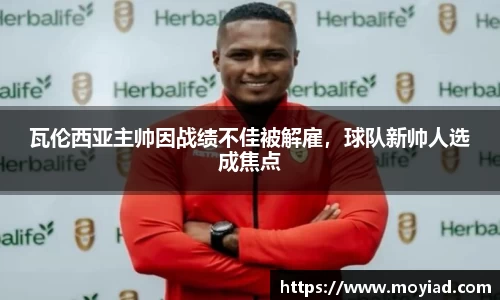 leyu乐鱼官方网站