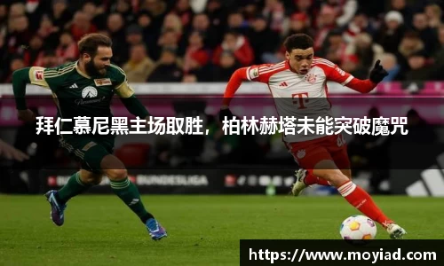 leyu乐鱼体育