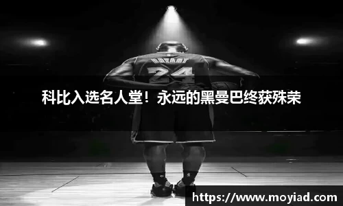 leyu乐鱼官方入口