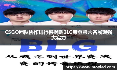leyu乐鱼体育官网