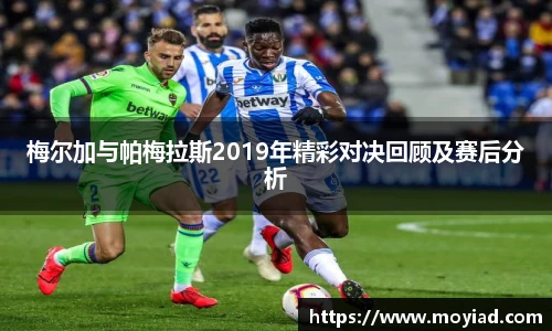 leyu乐鱼体育