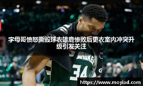 leyu乐鱼体育
