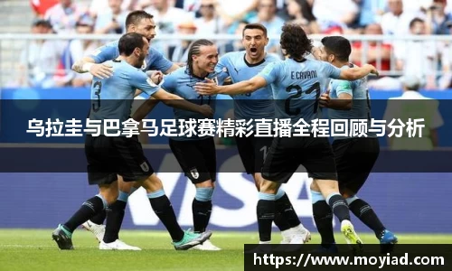 leyu乐鱼体育
