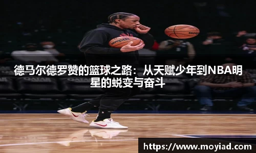 leyu乐鱼官方入口