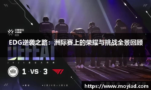 leyu乐鱼体育官网