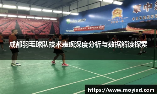 成都羽毛球队技术表现深度分析与数据解读探索