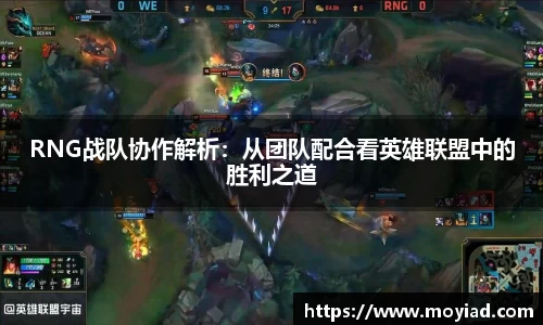 RNG战队协作解析：从团队配合看英雄联盟中的胜利之道